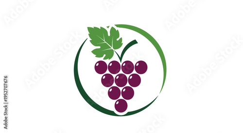A graphic illustration of a bunch of purple grapes with a green leaf, encircled by a vibrant green ring on a white background.