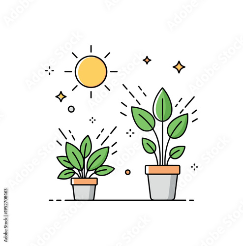 Natural light and indoor plants arranged in a small balanced composition representing biophilic design and connection to nature. Bright sun rays highlight