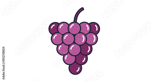 Fresh purple grapes isolated on white background healthy food vector design