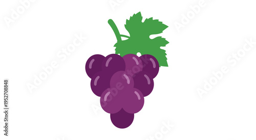 Fresh purple grapes graphic isolated on a white background with green leaf