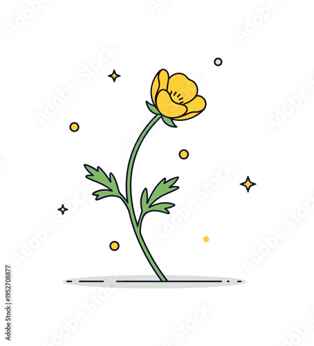 Single buttercup in bloom concept shown through a bright flower with slightly curved stem and subtle shadow beneath, expressing simplicity and quiet beauty of