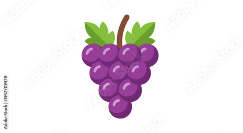 Fresh purple grapes isolated on white background for culinary and design uses