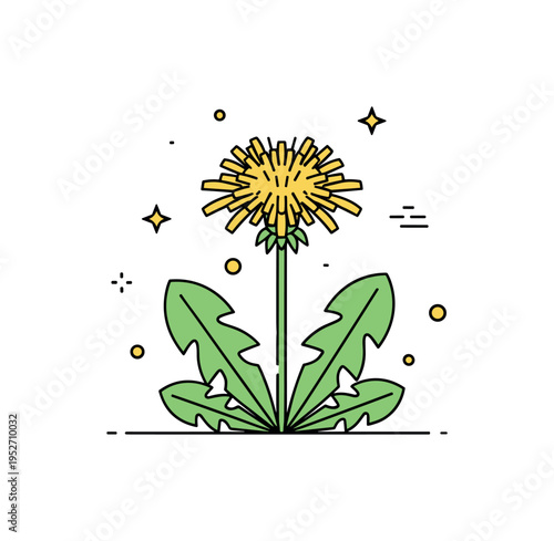 Wild meadow dandelion bright yellow flower in bloom with simple green leaves at the base, capturing the cheerful resilience of common field plants. Minimalist