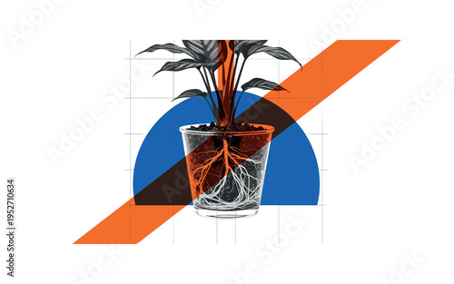 Black and white houseplant with visible roots in transparent pot being watered, bold cobalt blue semicircle backdrop emphasizing the root zone, orange diagonal