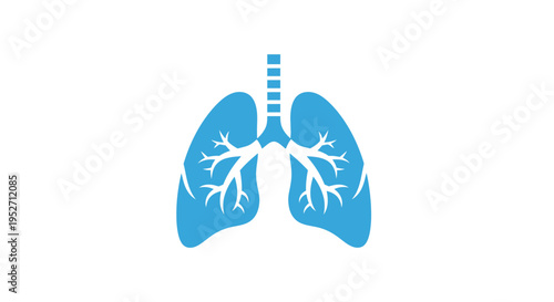Anatomical illustration of healthy human lungs, respiratory system represented in flat vector style