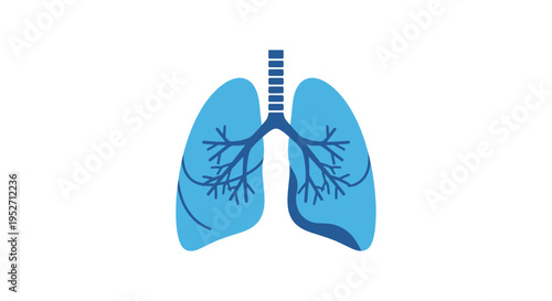 Illustration of human lungs respiratory system in a stylized blue and white design