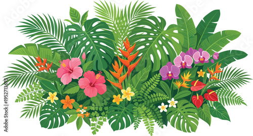 Large Tropical Botanical Set Featuring Hibiscus Flowers, Orchids, Heliconia, Anthurium, and Lush Monstera Leaves with Palm Fronds for Summer Nature Backgrounds and Floral Designs