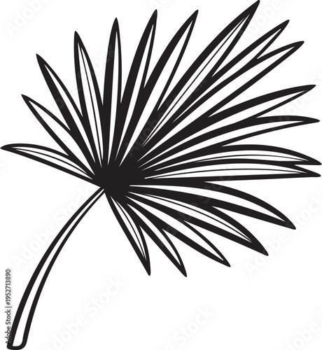 Tropical palm leaf vector drawing with fan shape and linear texture