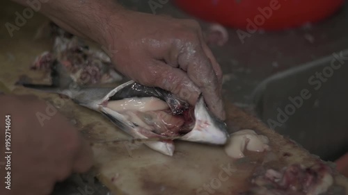 Close Up of Fisherman Cleaning Fresh Fish – Authentic Seafood Preparation