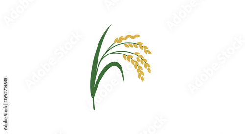 Minimalist Illustration of Rice Plant with Green Leaves and Golden Grains on a White Background