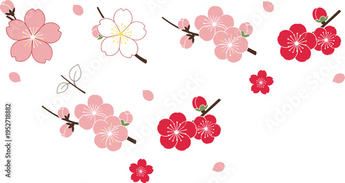 Japanese Sakura and Camellia Flower Collection with Cherry Blossom Branches Petals and Floral Elements Asian Style Vector Illustration Set