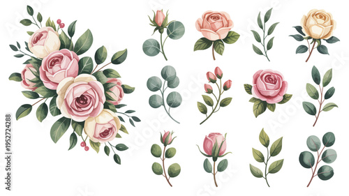 Pink Roses and Eucalyptus Leaves on White Background