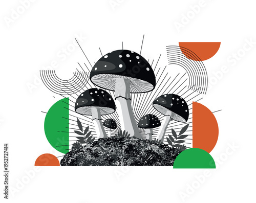 Black and white mushrooms growing from textured forest ground, abstract semicircles and thin radiating lines symbolizing growth cycles, vivid green and burnt