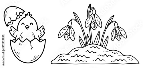 Easter chick hatching from egg next to spring snowdrop flowers in linear doodle style