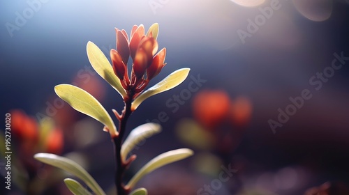 A photo of a soft-focus macro shot of a tiny bloom.