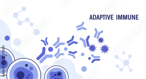 Adaptive Immune System: Antibodies Neutralizing Viruses and B Cells