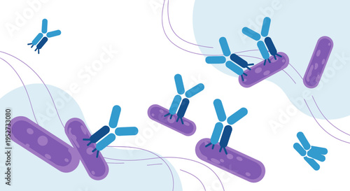 Antibodies attacking bacteria, immune system response, medical illustration