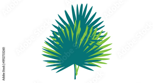 Two overlapping, textured palm fronds, one in dark teal and the other in lime green, are depicted vertically against a clean white background.