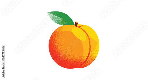 A single, round peach, displaying an orange to red gradient, a green leaf, and a brown stem with a grainy texture, is centered on a white background.