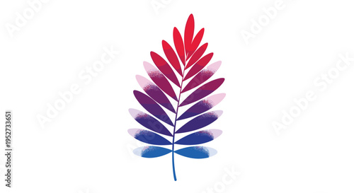 A single elongated leaf with numerous leaflets exhibits a vibrant red, purple, and blue vertical gradient on a white background.