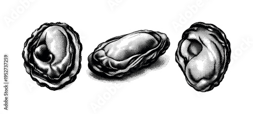 Oyster meat A realistic oyster meat form with soft organic folds and natural mass, represented as the same oyster meat in three different views. Black and