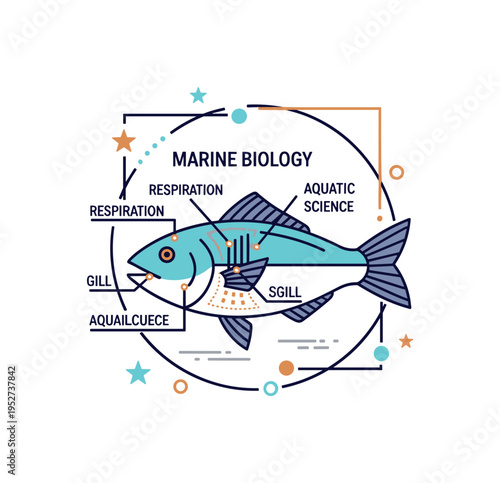 Marine biology education badge featuring a fish profile with labeled style visual cues around the gill area symbolizing respiration study and aquatic science.