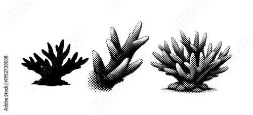 Staghorn coral side profile. A realistic staghorn coral is shown as one object presented in three different views focusing on side profile silhouette, branch