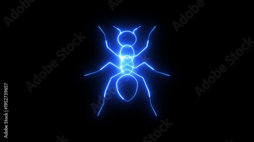 Neon Ant Line Icon Animated on Black Background with Alpha Channel 4K Green Screen Chroma Key Loop