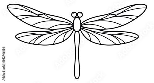 Simple line art illustration of a dragonfly depicting a graphic insect outline for summer nature designs