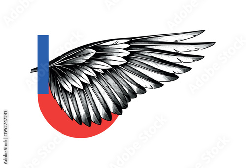 Black and white wing detail enlarged dramatically as central object, bright red semicircle echoing feather curve, blue vertical rectangular accent