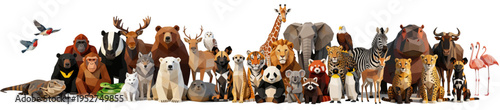 Wild Zoo Animals . A group of cartoon design graphics unique banner. Various endangered and rare wild animals gather together. Suitable for animal protection and environmental protection