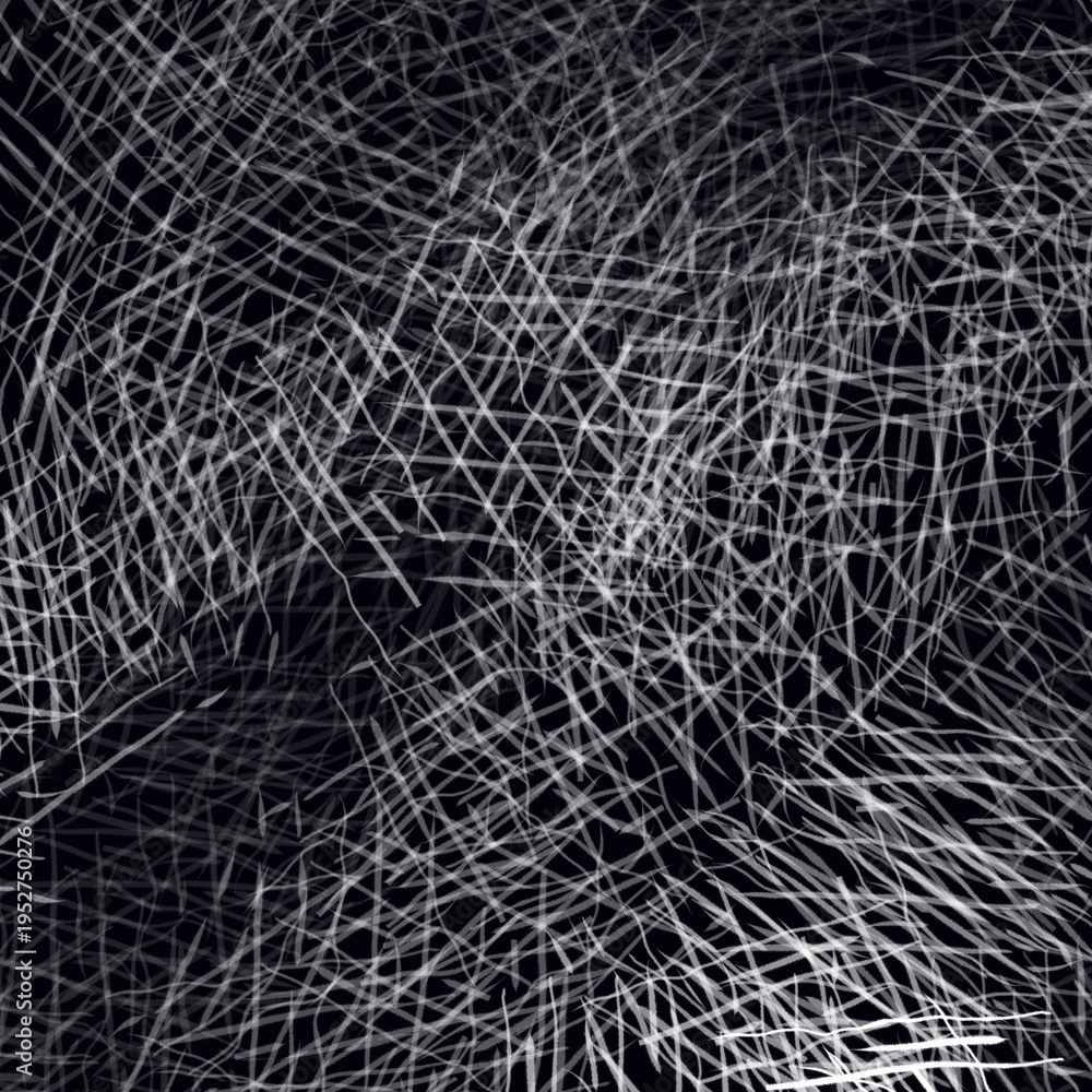 Fototapeta premium spider web on a dark background