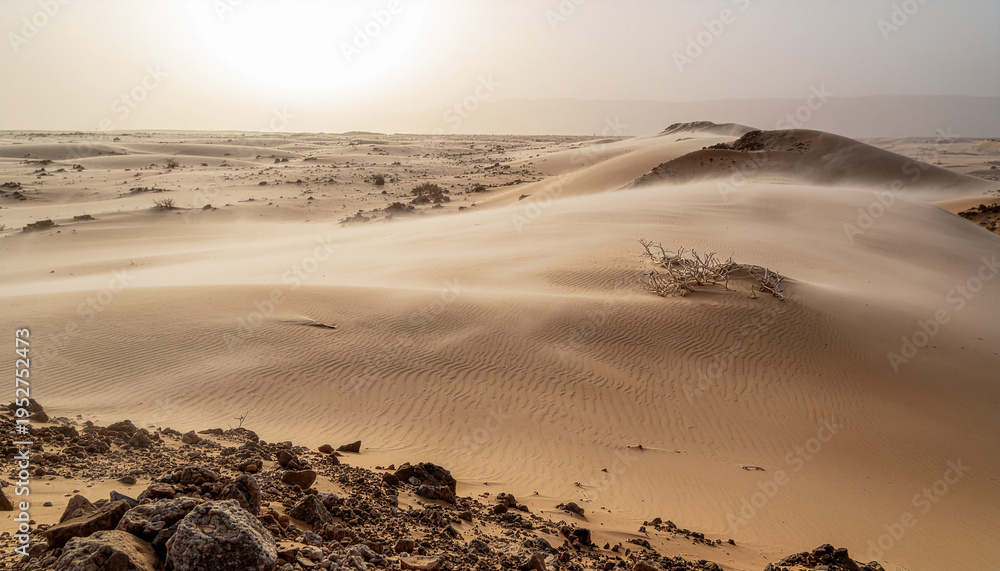 Obraz premium Dramatic desert landscape with sand sweeping across dunes under a hazy sky