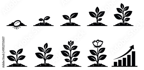 Simple plant growth stages set featuring seedling development and a progress chart for business and educational concepts