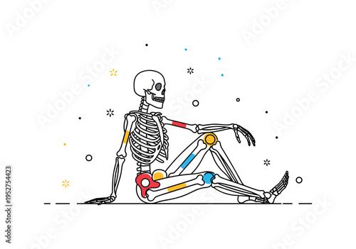 Skeleton sitting in a relaxed pose with key bones highlighted for reference, emphasizing human support system, posture, and anatomical study. Minimalist flat