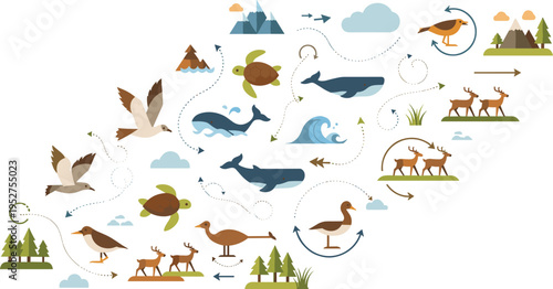 Animal Migration Routes Illustration with Birds Whales Turtles and Deer Showing Seasonal Movement Patterns Across Land and Ocean Vector Design.