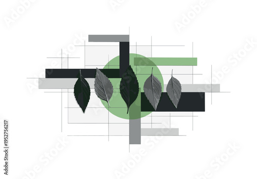 black and white herb leaves arranged flat for air drying, bright sage green circle highlighting center, geometric flat blocks arranged rhythmically, fine grid