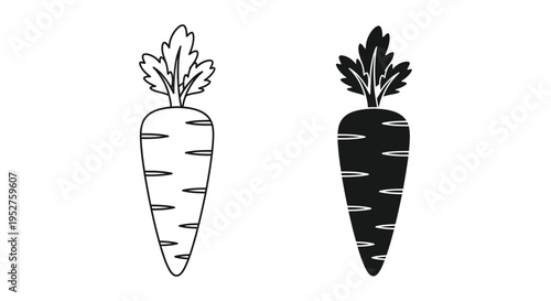 Simple vector graphic design set showing two contrasting styles of carrot vegetable icons