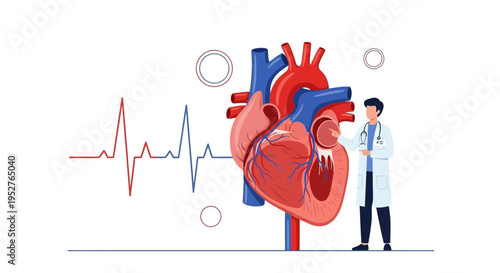 Doctor examining human heart with ECG and medical symbols, cardiology concept