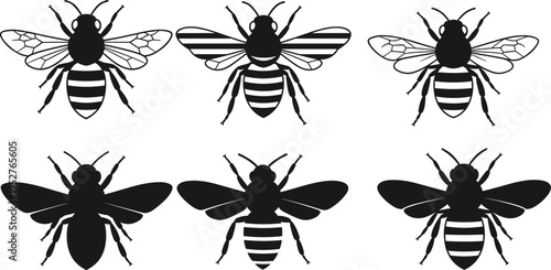 Set of six detailed bee silhouettes isolated on white background, vector illustration of honeybee insects, wings patterns, nature design elements