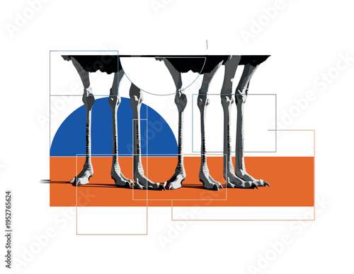 Black and white abstract repetition of ostrich legs forming vertical rhythmic pattern, bold cobalt blue semicircle intersecting mid-frame, burnt orange