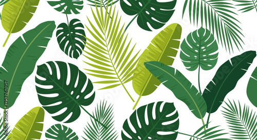Tropical seamless pattern with various green palm and monstera leaves on white background