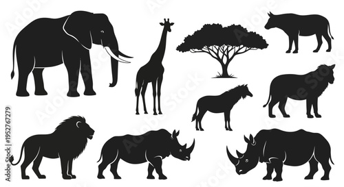 Safari animal silhouettes on white background