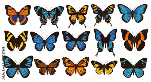 collection of colorful butterflies on white background
