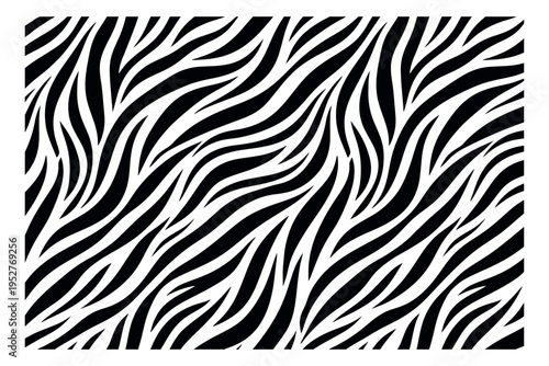 Abstract graphic illustration of zebra pattern depicting black and white stripes for fashion design