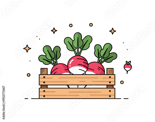 Spring harvest radish simple wooden crate holding a few rounded radishes with leafy tops peeking out. A warm editorial scene highlighting seasonal abundance