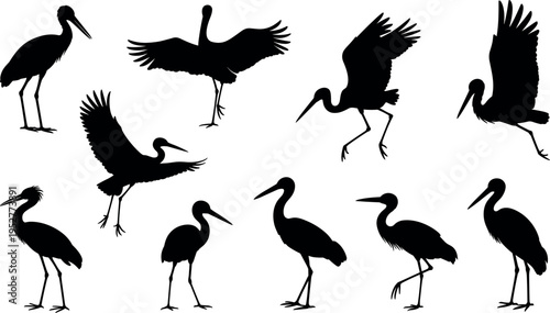Heron crane bird silhouette collection in flying and standing poses isolated on white background, elegant long legged wading birds set