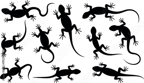 Lizard gecko silhouette collection in various poses isolated on white background, reptile set showing crawling climbing and different positions