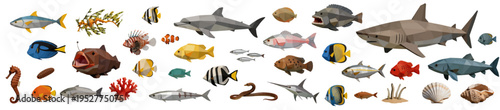 A group of adorable marine creatures. A group of cartoon design graphics unique banner. A variety of endangered and underwater creatures gathered together. Suitable for promoting marine life protectio