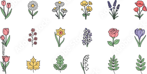 A delightful collection of charming hand-drawn spring and autumn botanical illustrations, featuring various blooming flowers and vibrant leaves, perfect for seasonal designs and decorative elements.